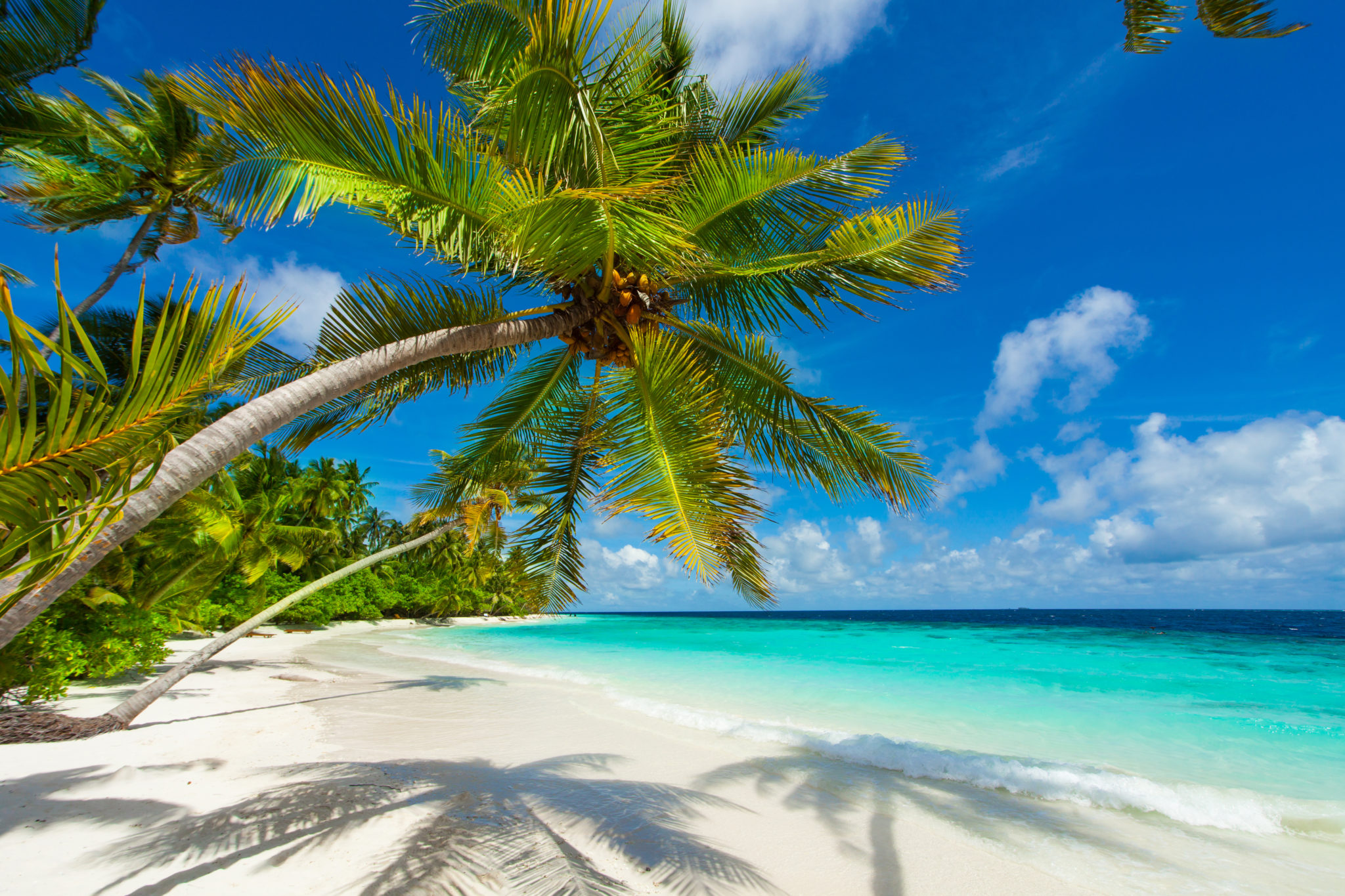 Traumurlaub Malediven