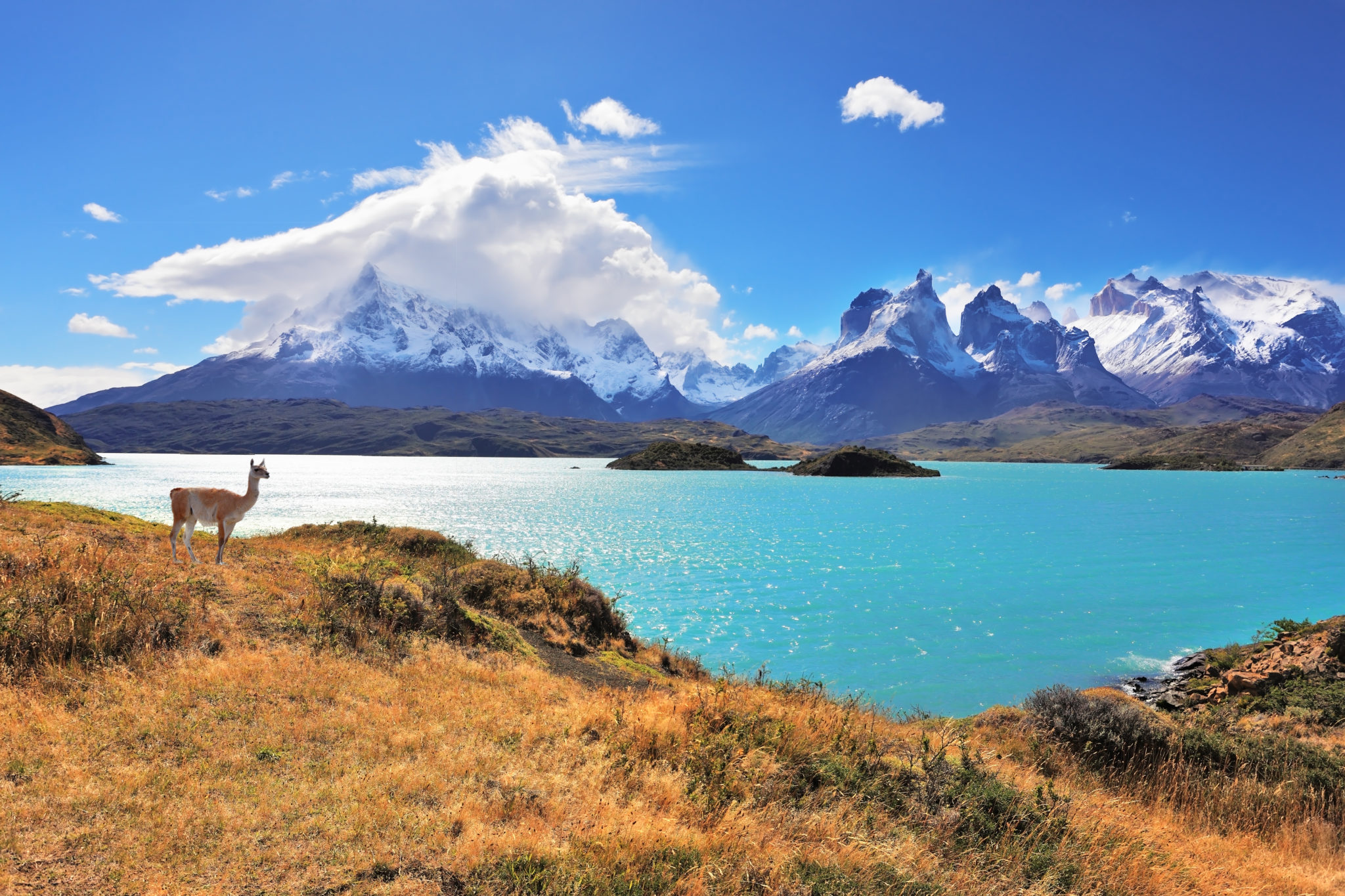 Atemberaubende Landschaft am Pehoe See im Torres del Paine
