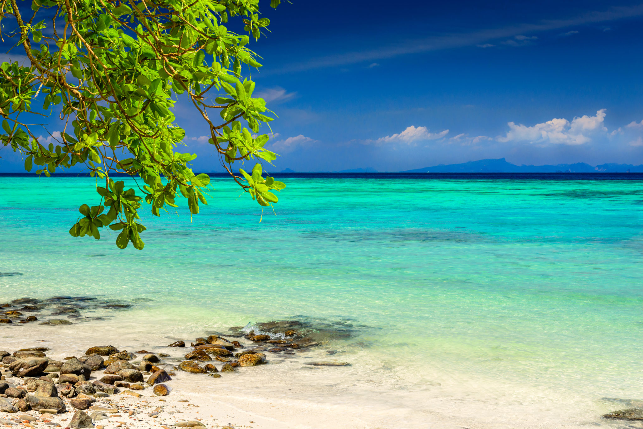 Beautiful tropical beach, rocks, exotic plant leaves and clear turquoise sea water. Photo from Ko Phi Phi Don, Phi Phi Islands, Krabi province, Southern Thailand.