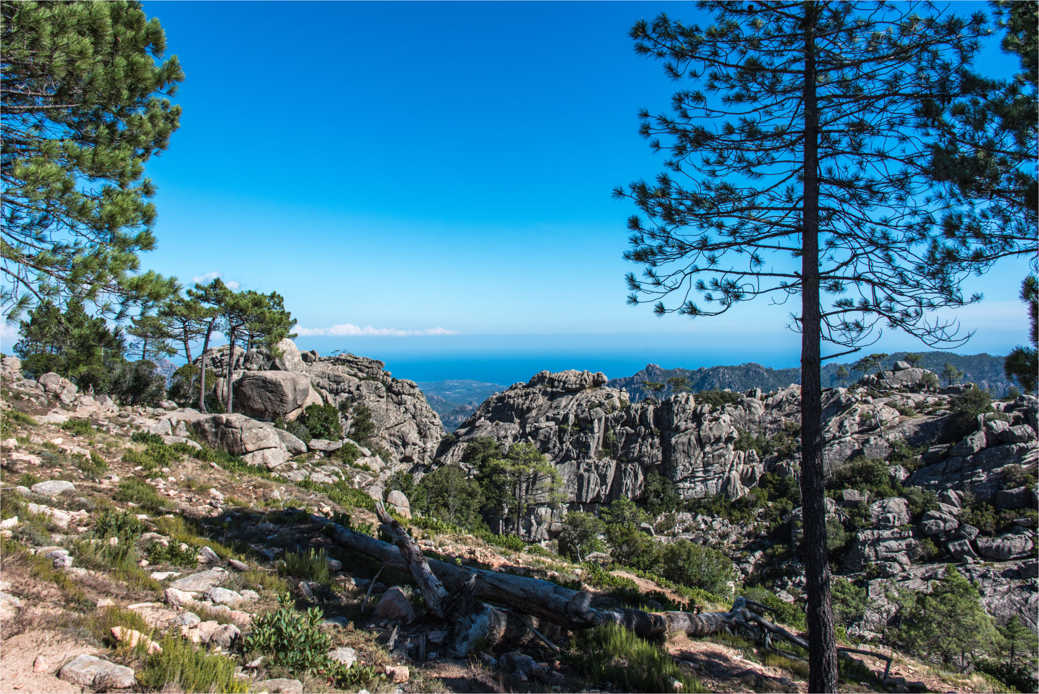 Glamping inmitten der Bergwelt Korsikas