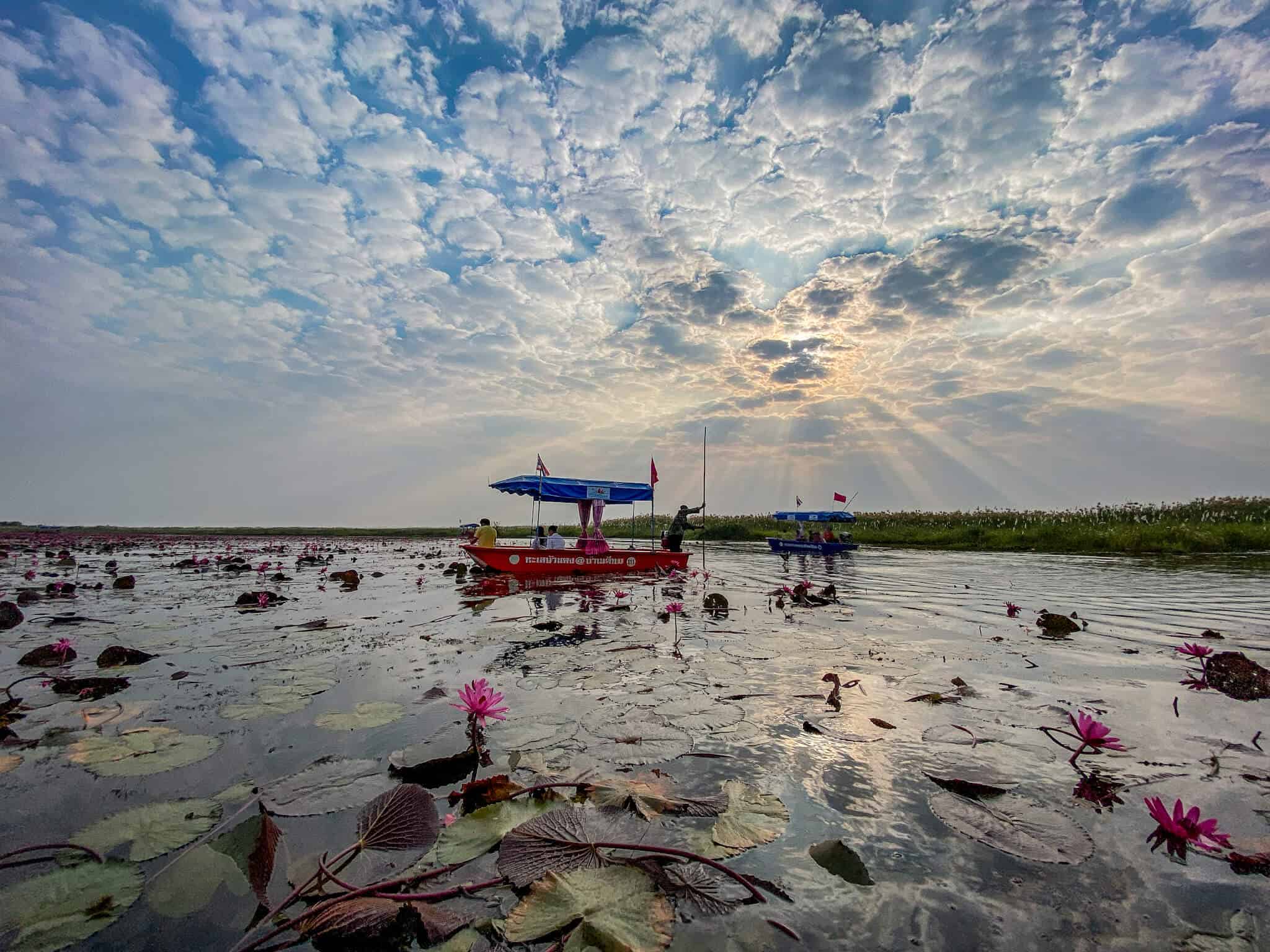 Red Lotus Lake A Trip To Thailand S Most Beautiful Lake