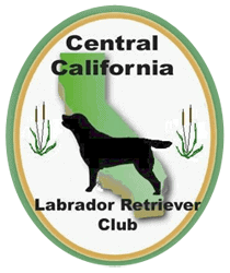 cclrc_logo-1 cclrc_logo-1