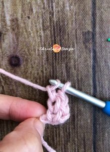 yarn bowl, pink yarn on crochet hook, fsc