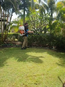 Misting mosquitoes mosquisite treatment