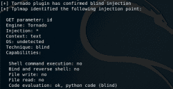 tplmap-confirmed-injection