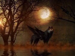 de wolf en de drie biggetjes