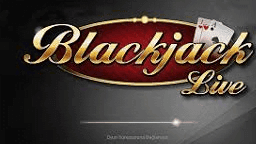 Live Blackjack Online Casino Games Live Blackjack Online Casino Games