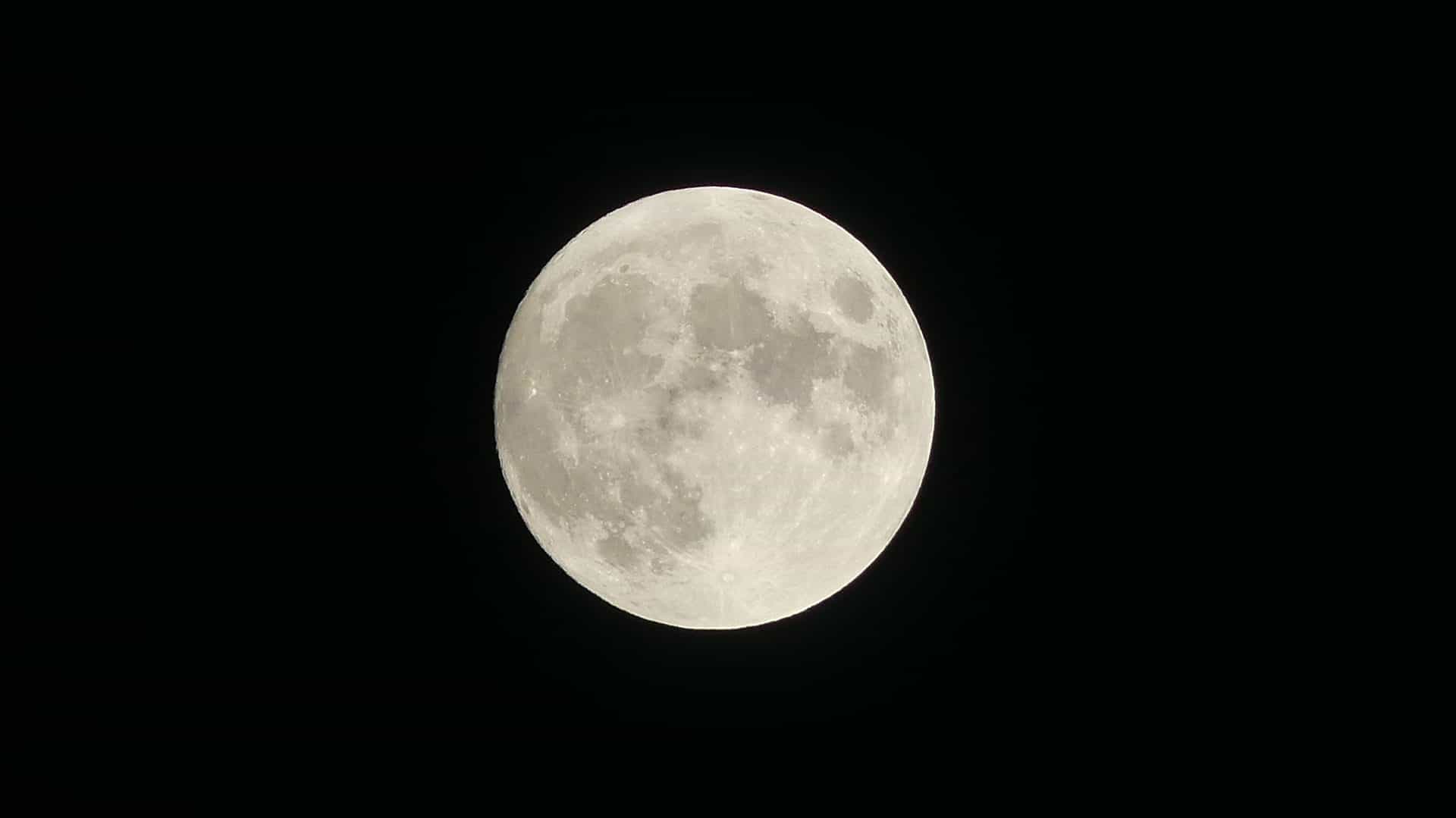 fz300 zoom