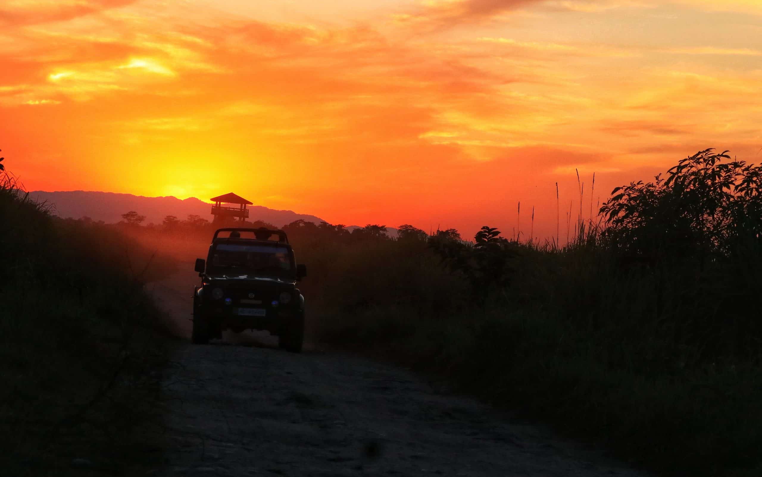 kaziranga jeep safari