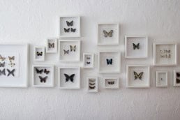 Butterfly wall at Leah Stuhltrager's home in Berlin.