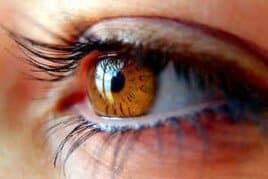 Wimpern