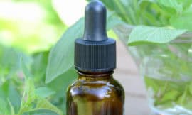 'Tis the season for sniffly, runny noses! Time to boost your family's immune system so that you can ward off the germs at every turn. This DIY is seriously easy, and requires very little time to put together. // I'm totally getting some herbs to do this ASAP!