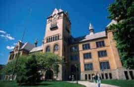 Wayne State