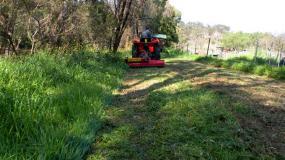 Flail mowers are ideal for thick grass and tall weeds.
