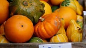 With October fast approaching, it’s time to think about putting down a veggie patch for those delicious summer veggies like pumpkins, squash, beans and watermelons.