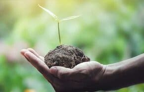 Land, neues Leben