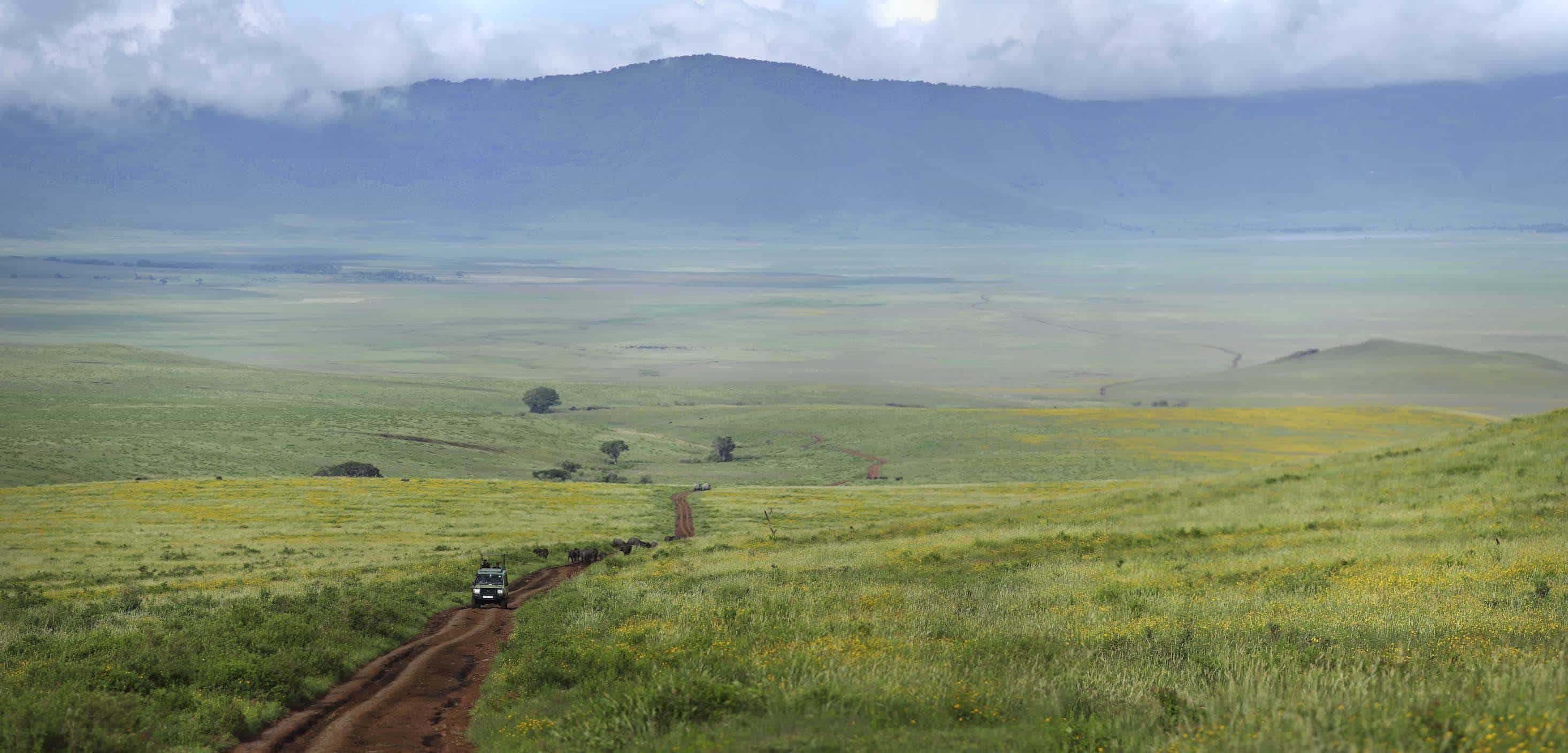 The Highlands Ngorongoro Crater
