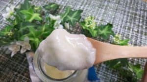 富士宮市 観光牧場 まかいの牧場