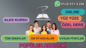 Samsun Ozel Ders Online Ve Yuzyuze Populer Akademi