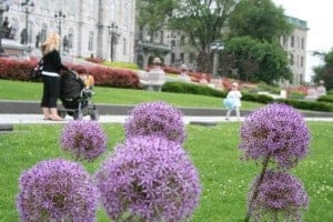 Quebec City (600 x 400) quebec city, quebec city with baby, baby travel, travel stroller, best travel stroller, best stroller for travelling