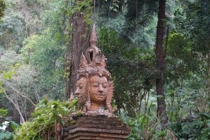 Temple In Doi Suthep Pui National Park Venturists