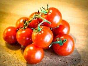 Tomate Tomaten düngen mt Dünger Tomate Tomaten düngen mt Dünger