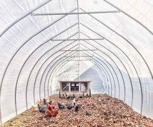 hoop house greenhouse