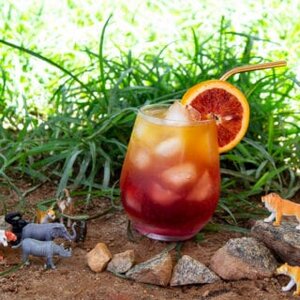 Circle of Life Drink - The Lion King inspired drink