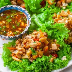 Asian chicken lettuce wrap with peanut sauce and water chestnuts