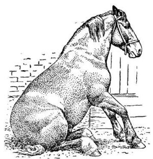 Тромбоз бедренной артерии