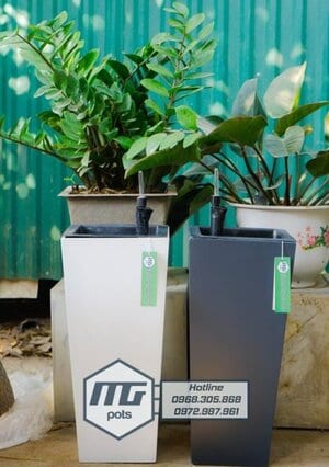 Chậu composite MGPOT