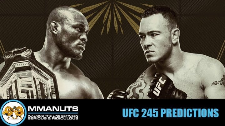 UFC 245 Predictions