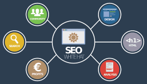 SEO Ranking Agentur Augsburg seo 1327870 1280 300x172 - SEO Ranking Agentur Augsburg