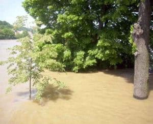 hochwasser-meissen-06-06-2013-um-12-59-uhr (13)