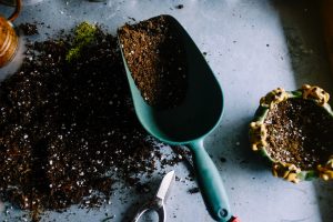 Blog 1 neslihan gunaydin BduDcrySLKM unsplash