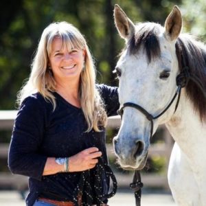 Equine Therapy