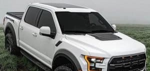 ford f150 white with tonneau and bed cover in grass