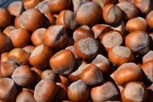 nuts crushed for rat trap