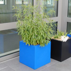 Chậu cao cấp công trình