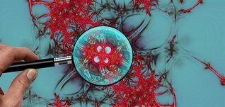 cbd oil
Immunsystem