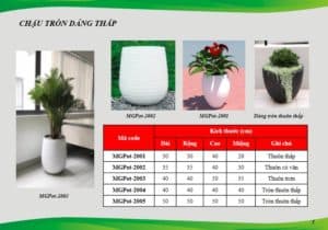 Chậu composite tròn - dáng thấp