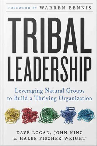 1-on-1 Development: How to Make the Most of Your 1-on-1s throughout You and Your Team's Careers 15 1-on-1 development: think about tribal leadership