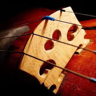Violin vs Fiddle Violin Bridge