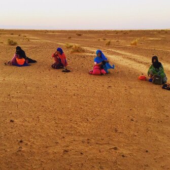 SUNRISE SELLERS IN THE SAHARA
