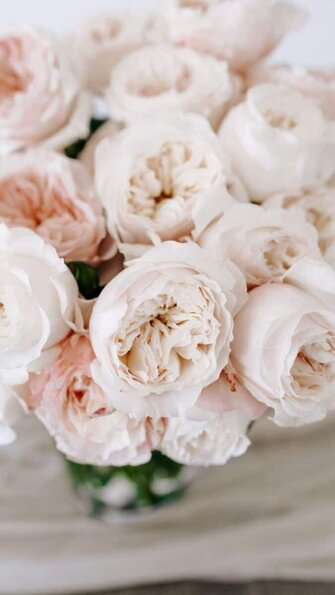 flower wallpapers