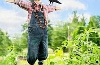 cat and bird scarers