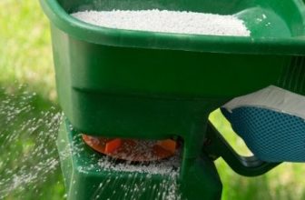 no rake moss removers