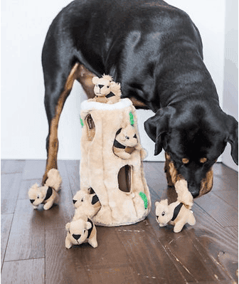 Squirrel squeaky puzzle toy