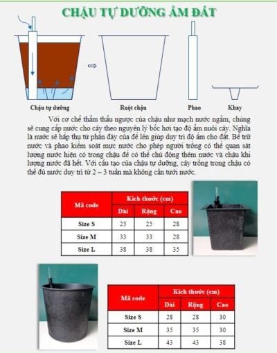 Chậu trồng cây thông minh - Nguyên lý hoạt động Chậu trồng cây thông minh - Nguyên lý hoạt động
