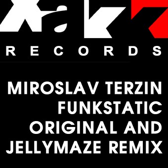 Miroslav Terzin – Funkstatic